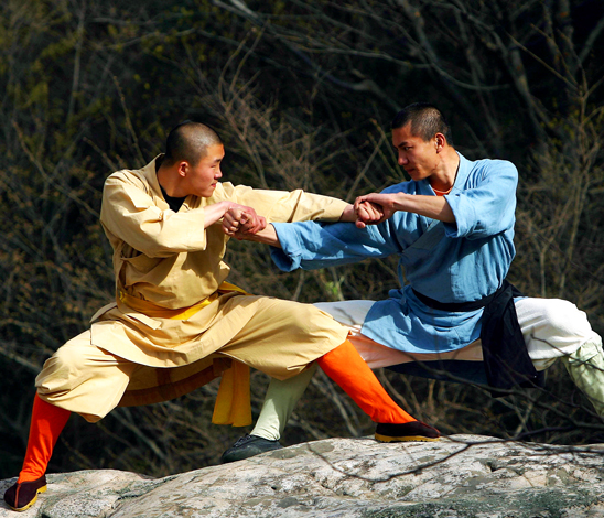 Combattants en Arts martiaux Combattants en Arts martiaux