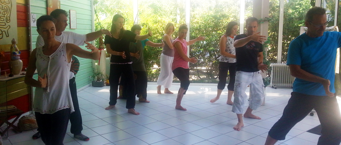 Cours de Qi Gong à Terre d'Asie Cours de Qi Gong à Terre d'Asie