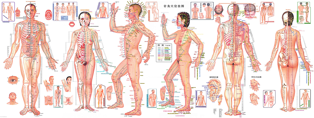 Les méridiens et les points d'acupuncture en Médecine Traditionnelle Chinoise Les méridiens et les points d'acupuncture en Médecine Traditionnelle Chinoise