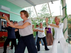 Cours de Taiji Quan à Terre d'Asie lors du stage d'été
