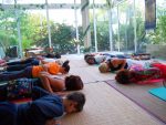 Cours de Yoga à Terre d'Asie en été