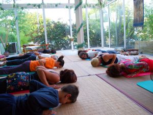 Cours de Yoga à Terre d'Asie en été