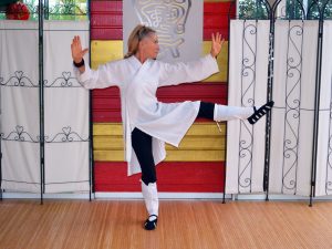 Taiji Quan style Yang par Catherine-Isaure Bousquet au centre Terre d'Asie à Dax