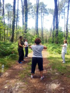 Exercice postural (Zhuan he gong) en fôret de Soustons avec les Formation II