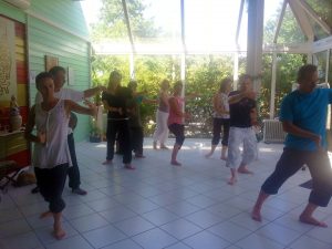 Cours de Qi Gong à Terre d'Asie
