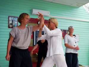 Application martiale du Taiji Quan à Terre d'Asie avec Catherine-Isaure Bousquet