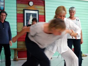 Application martiale du Taiji Quan à Terre d'Asie avec Catherine-Isaure Bousquet