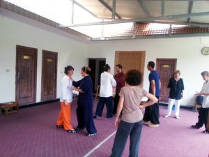 Application martiale du Taiji Quan avec Maitre Yuan Li Min en Chine