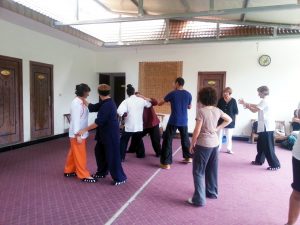 Application martiale du Taiji Quan avec Maitre Yuan Li Min en Chine