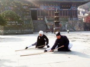Pratique du bâton avec Maître Chen Li Sheng, décembre 2015