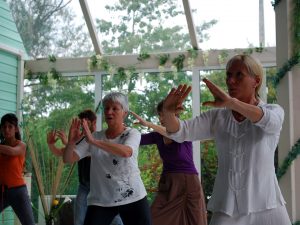 Cours de Taiji Quan à Terre d'Asie