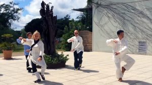 Vidéo de démonstration de Taiji Quan avec Maitre Zhang Kunlin et les pratiquants de Terre d’Asie lors de la journée nationale de Qi Gong, mai 2016