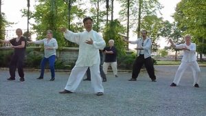 Vidéo de démonstration de Taiji Quan avec Maître Zhang Kunlin et les pratiquants de Terre d’Asie lors du Printemps des Landes aux arènes de Dax, avril 2015