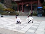 Xing Yi Quan avec Maître Chen Li Sheng et Catherine-Isaure Bousquet au Wudang