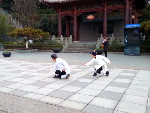 Xing Yi Quan avec Maître Chen Li Sheng et Catherine-Isaure Bousquet au Wudang