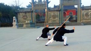 Vidéo de bâton du Wudang avec Maitre Chen Li Sheng en Chine