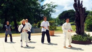 Vidéo de démonstration du Qi Gong des 5 organes avec Maître Zhang Kunlin lors de la journée nationale de Qi Gong, mai 2016