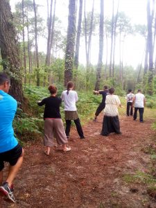Cours de Bagua Zhang en forêt avec Terre d'Asie lors du stage d'été