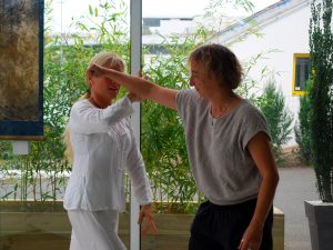 Application martiale du Taiji Quan à Terre d'Asie lors du stage d'été
