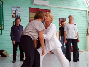 Application martiale du Taiji Quan à Terre d'Asie lors du stage d'été