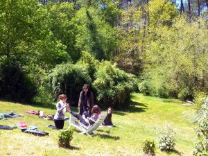 Pratique du massage Tuina dans la nature avec Terre d'Asie lors du stage d'été