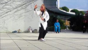 Vidéo démonstration Bagua Zhang Catherine-Isaure Bousquet