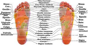 Réflexologie plantaire