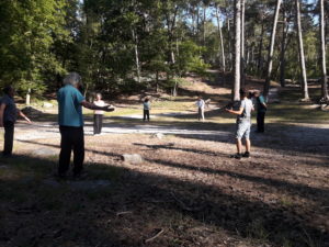 Les stages en forêt de Fontainebleau -2