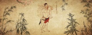 Les points d'acupuncture