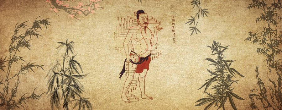 4ème année post-formation Tuina ou Shiatsu 4ème année post-formation Tuina ou Shiatsu