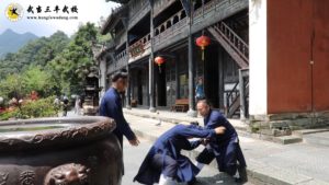 Photo 2 de Maitre Yuan Limin en train de pratiquer avec un disciple