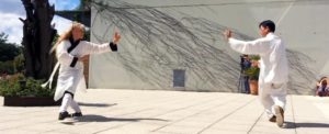 QI GONG TAIJI QUAN kung fu - en Finistere 29 - morlaix
