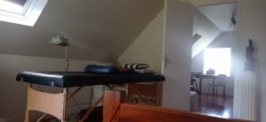 MEDECINE CHINOISE TRADITIONNELLE dans le Finistère : 26 rue la Motte Piquet 29660 CARANTEC