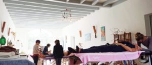 Qi Gong et Tuina academy dax france 3