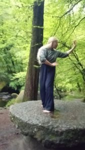 tai chi qigong - TAIJI QUAN du WUDANG