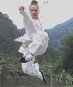 Maitre YUAN LIMIN