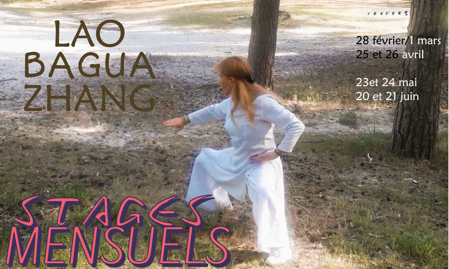 Stages mensuels de Bagua Zhang