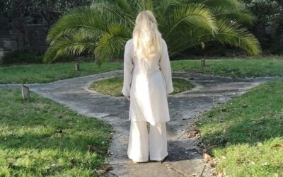 11 Cours ZOOM QI GONG et Taolus du WUDANG les mercredis